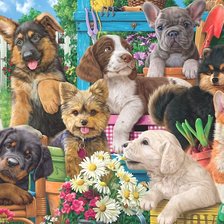 Схема вышивки «№2199033»