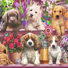 Схема вышивки «№2199034»