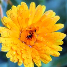 Схема вышивки «№2199128»