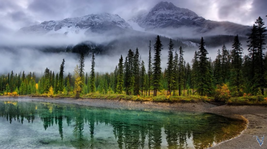 №2199177 - оригинал