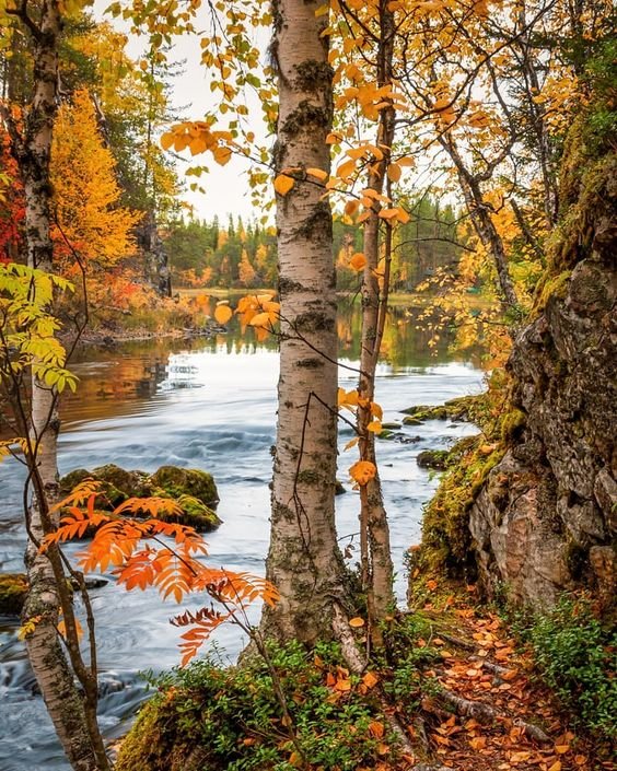 №2199208 - оригинал