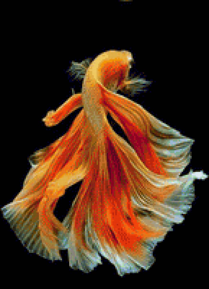 Оранжевая рыбка - рыбы - предпросмотр