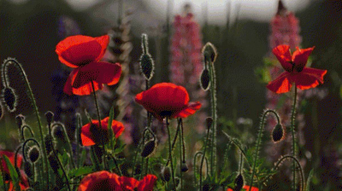 №2199610 - предпросмотр