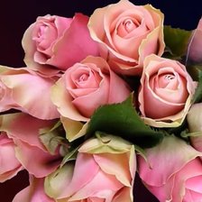 Схема вышивки «№2199619»