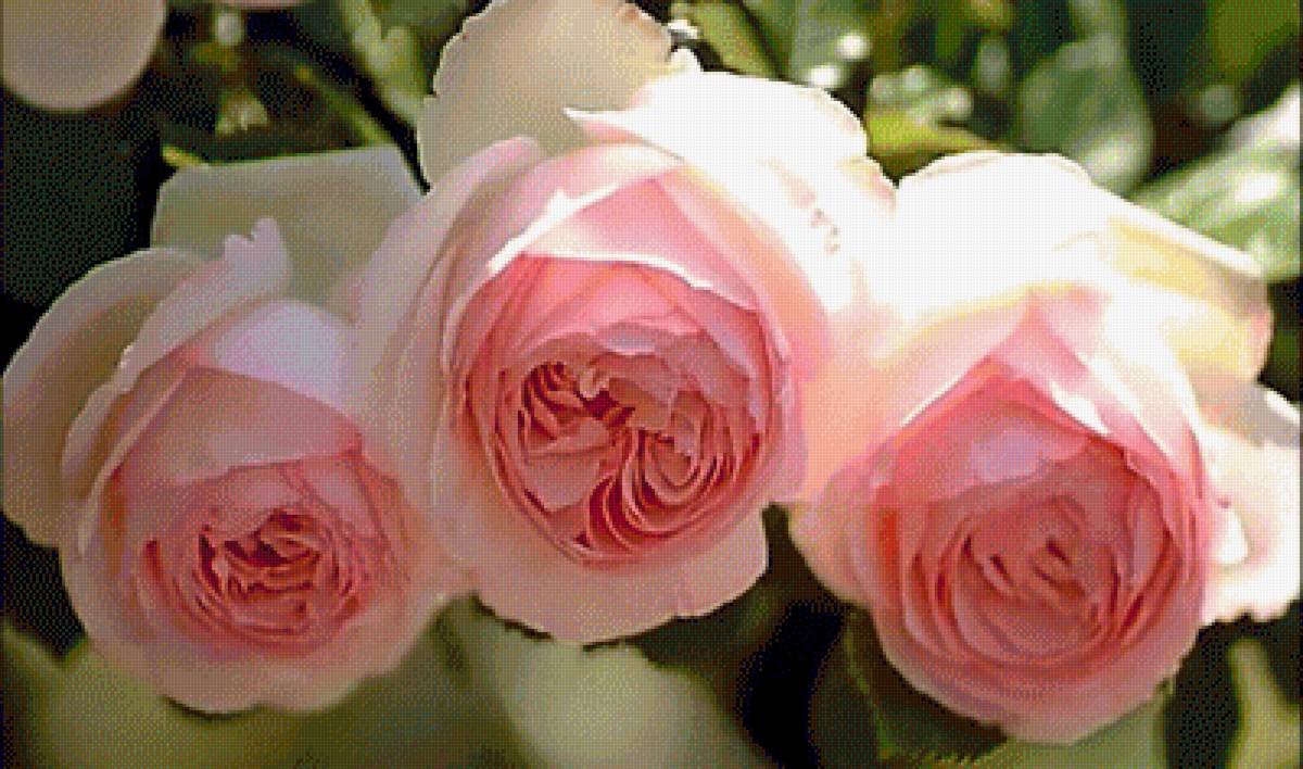 №2199625 - предпросмотр