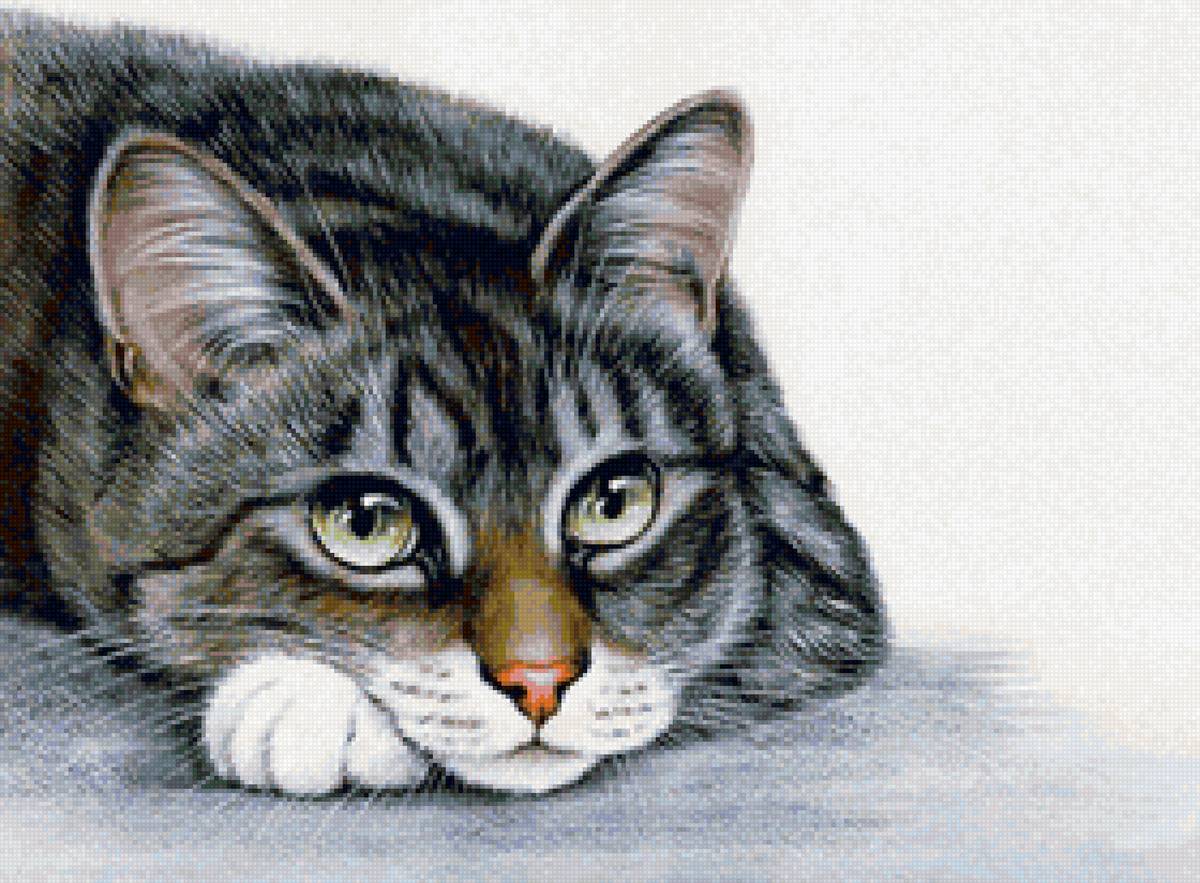 Худ Гармашова Ирина - 2 - котик - предпросмотр