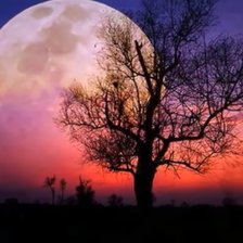 Схема вышивки «№2199856»