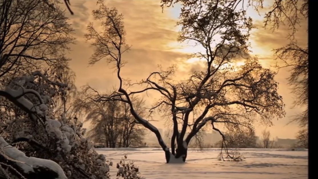 №2199865 - оригинал