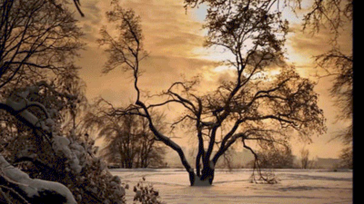 №2199865 - предпросмотр