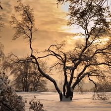 Схема вышивки «№2199865»