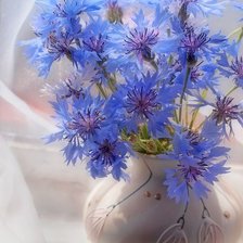 Схема вышивки «№2200381»