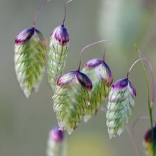 Схема вышивки «№2200391»