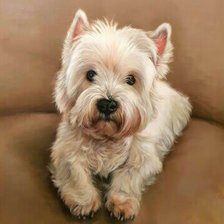 Схема вышивки «Cобака»