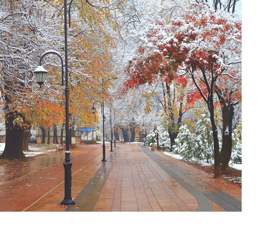 №2200749 - оригинал