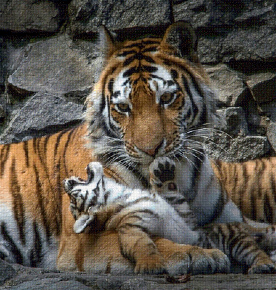 Тигрица - предпросмотр