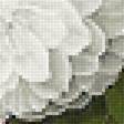 Предпросмотр схемы вышивки «№2201459»
