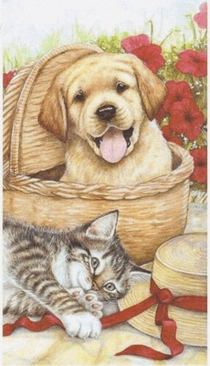 6666 - 6666 - предпросмотр