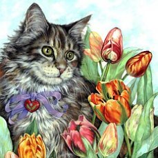 6666 - 66666 - оригинал