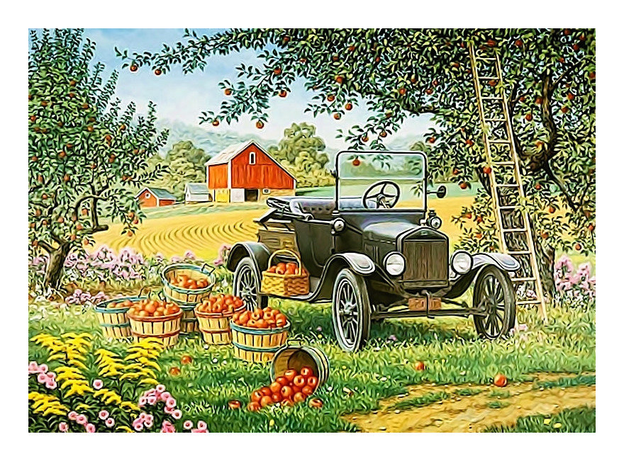 №2202124 - поле, ферма, сад, машина, яблоки - оригинал