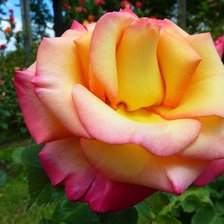 Схема вышивки «Глория деи»