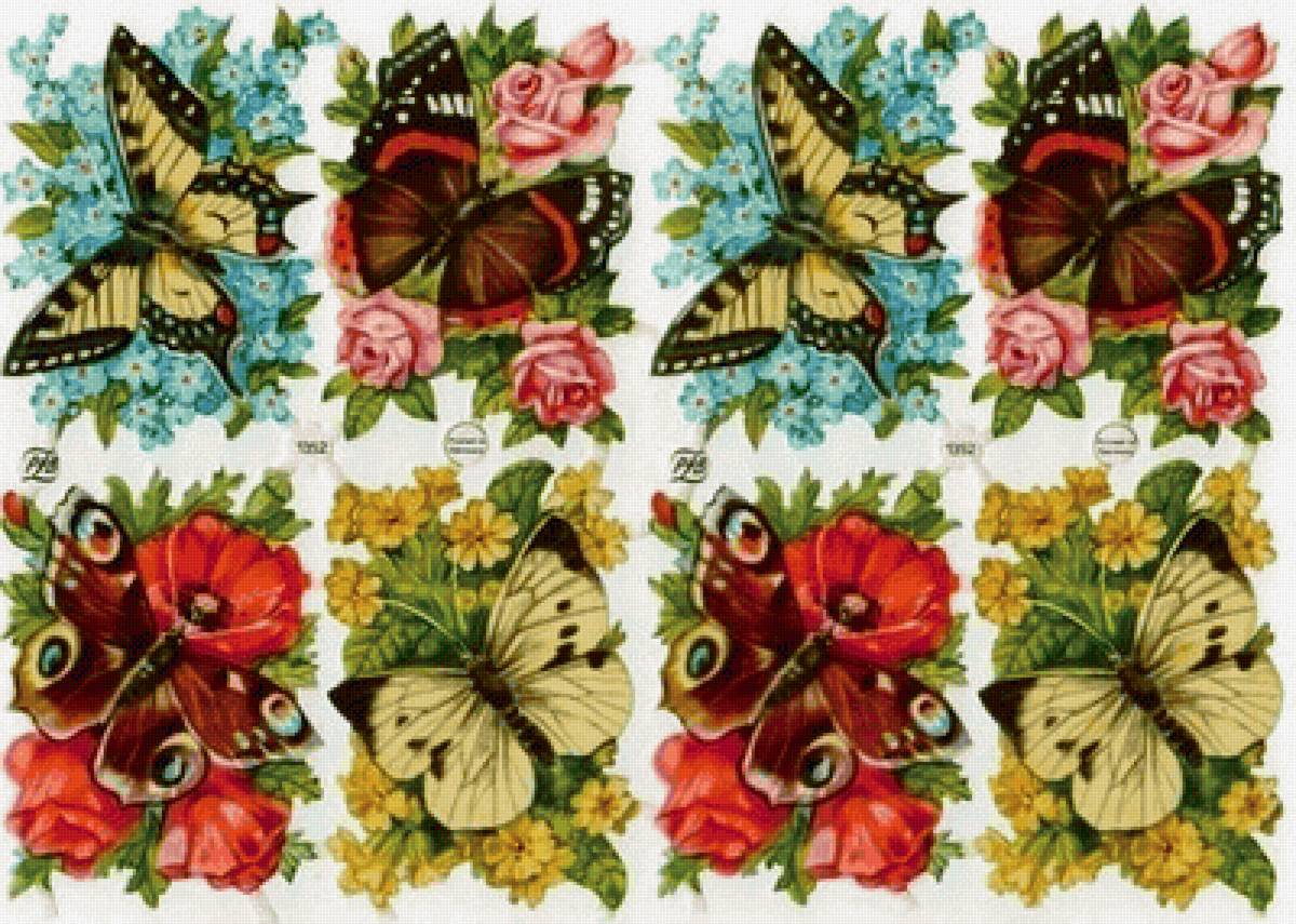 №2202484 - бабочки - предпросмотр