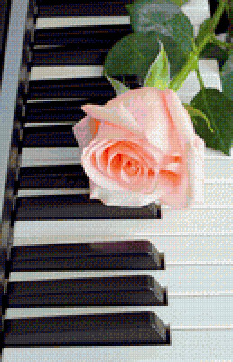 Розовая роза на пианино - предпросмотр