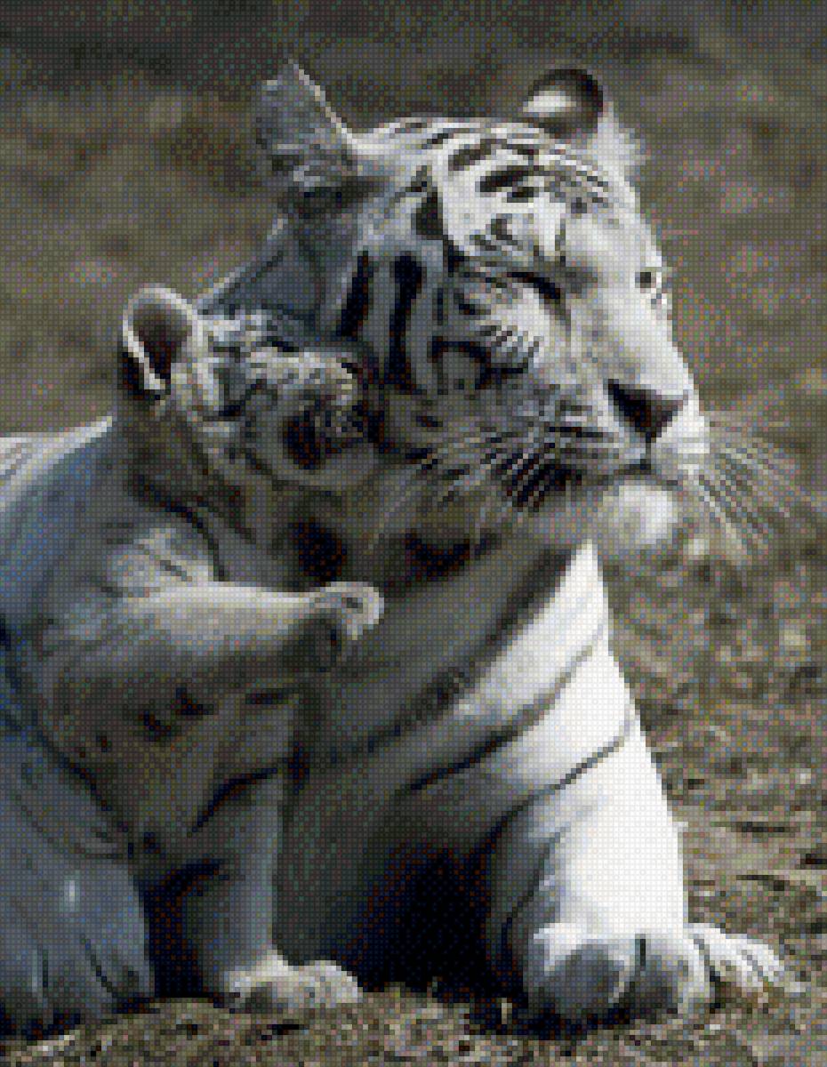 Белый тигр - животные, мама и малыш, тигр - предпросмотр