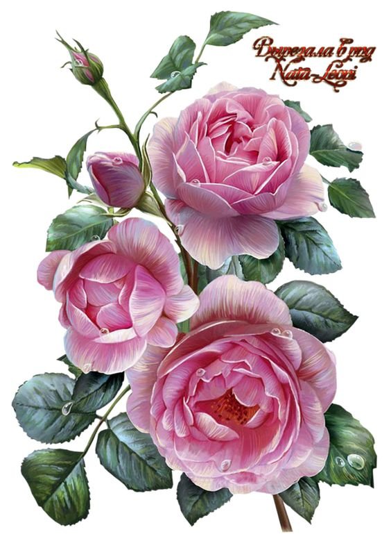 РОЗЫ - винтажные открытки - оригинал