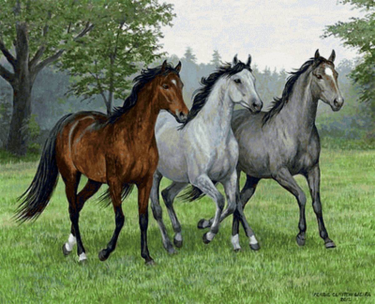 Три лошадки. Лошади Ravensburger Puzzle. Персис Клейтон Вейерс лошади. Изображение лошади. Стадо лошадей.