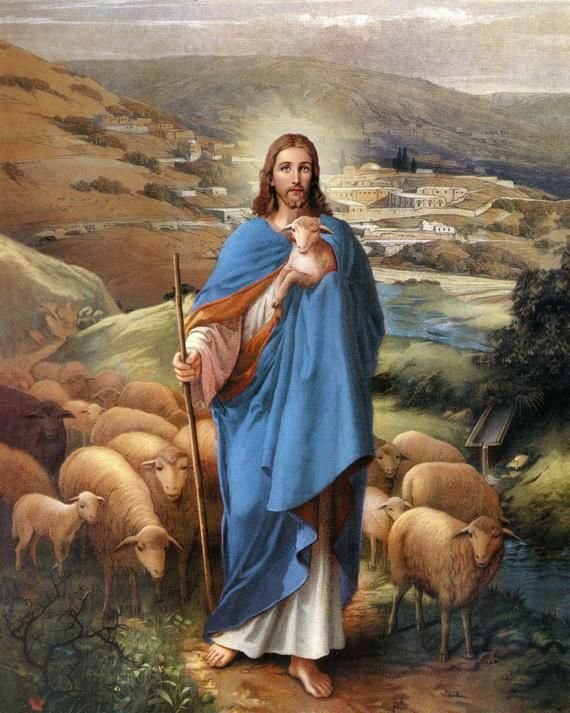 O Pastor co suas ovelhas. - pastor, santo., ovelhas - оригинал