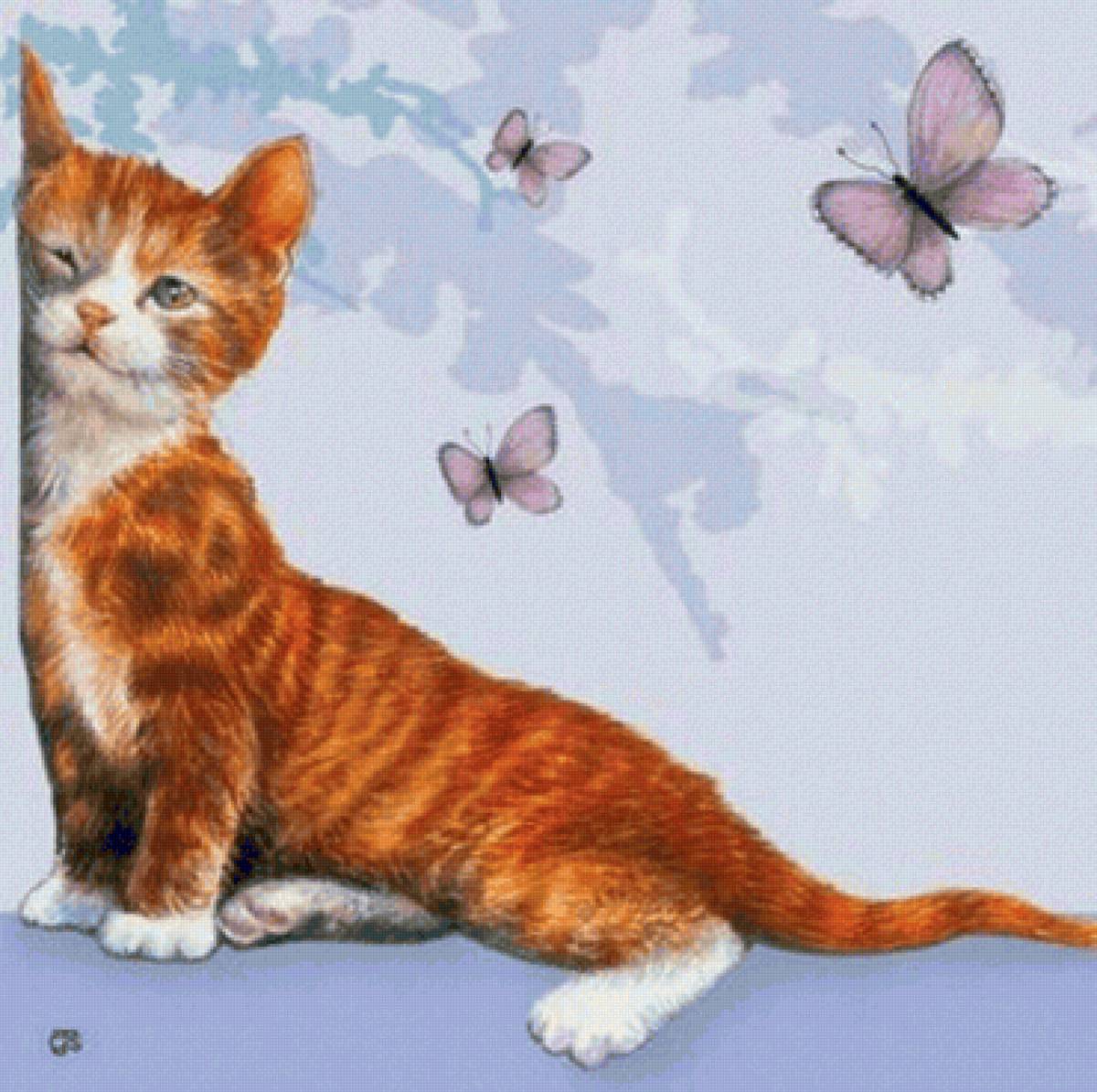 Котик - бабочки, кот - предпросмотр