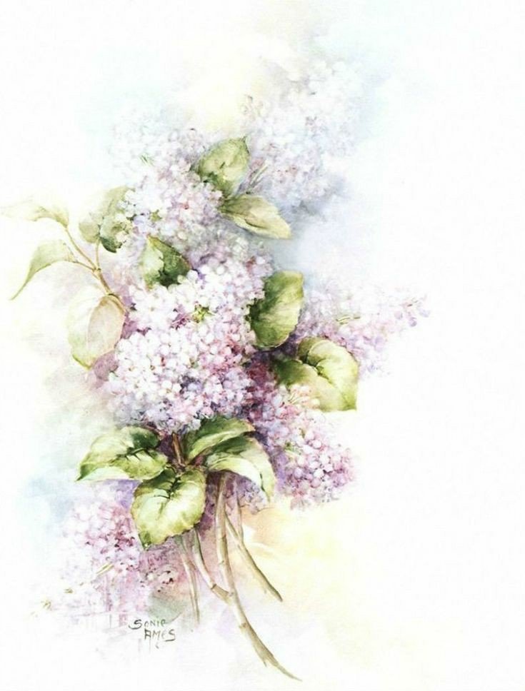 Цветы_3 - цветы, акварель. - оригинал