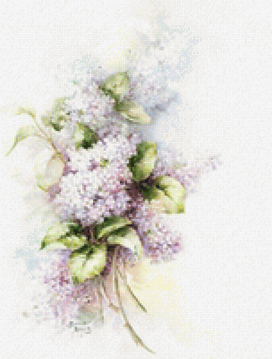 Цветы_3 - акварель., цветы - предпросмотр