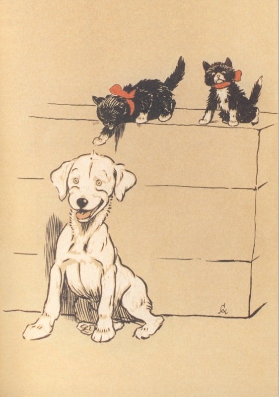 Два черных, один белый - сесил алдин - оригинал