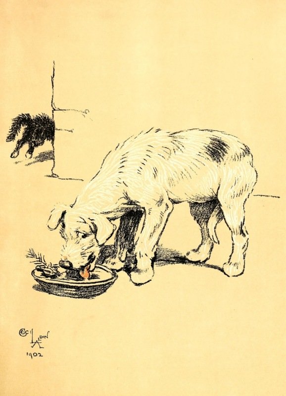 Рыбный супчик - сесил алдин - оригинал