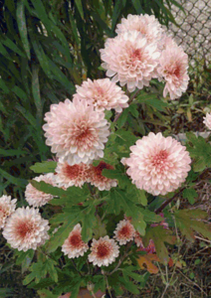 Осенние ноготки - предпросмотр