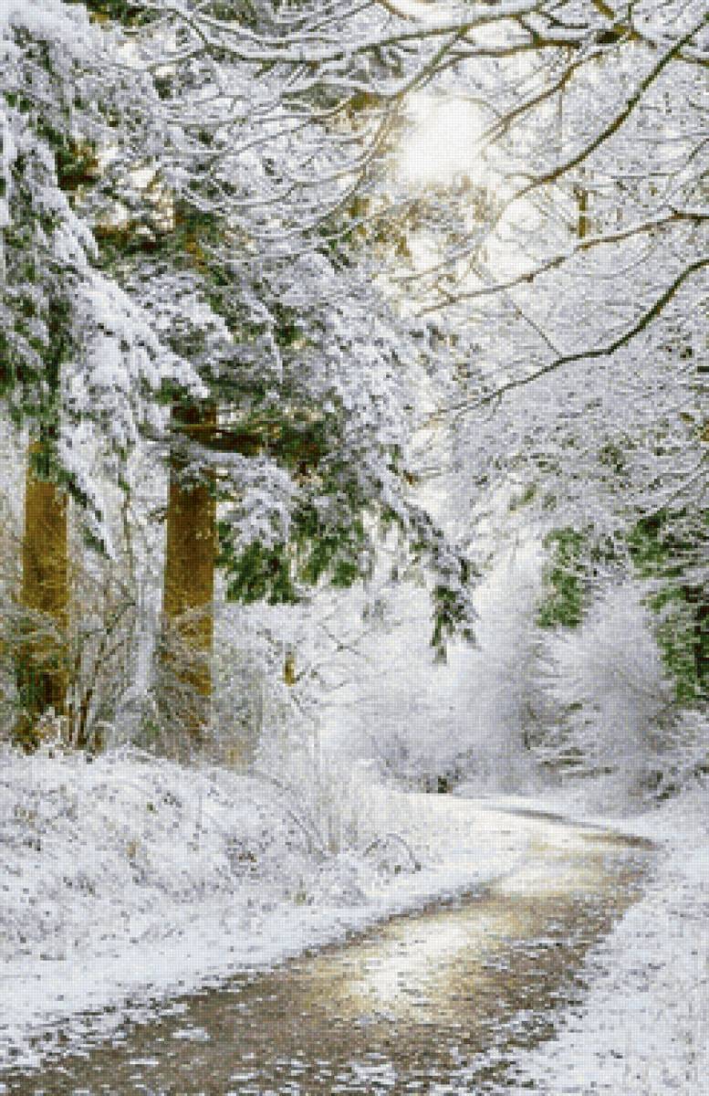 Caminhos congelados. - floresta, gelo.inverno. - предпросмотр