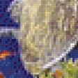 Предпросмотр схемы вышивки «Подводный мир» (№2204786)