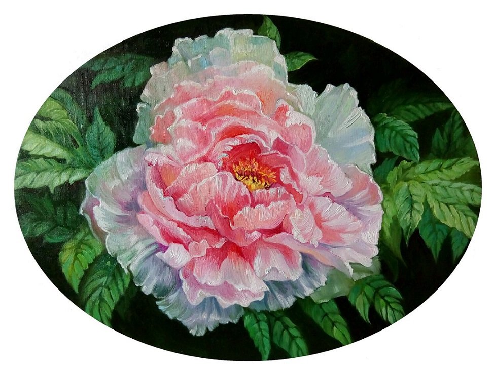 Peônias - flores .peônia - оригинал