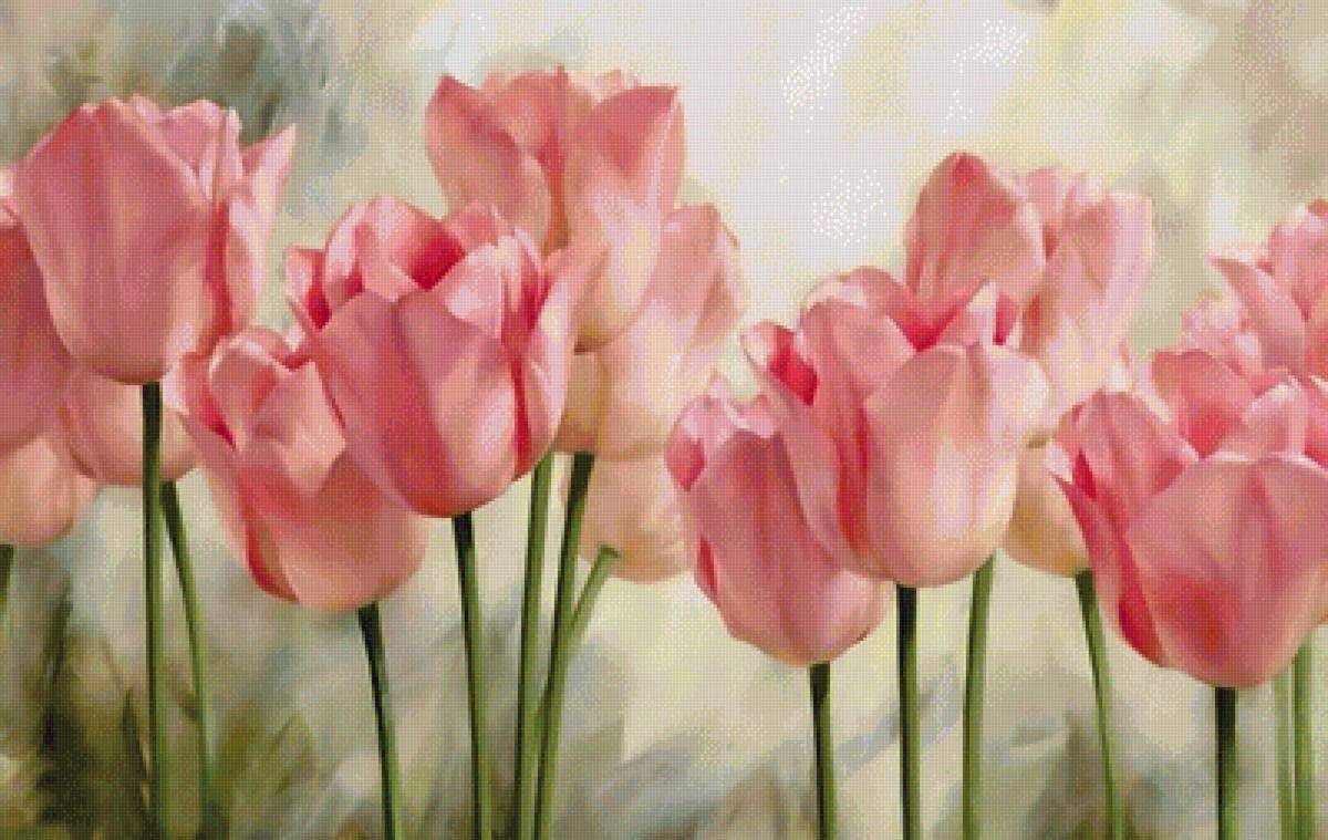 Тюльпаны 3 - предпросмотр