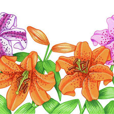 Схема вышивки «№2206025»