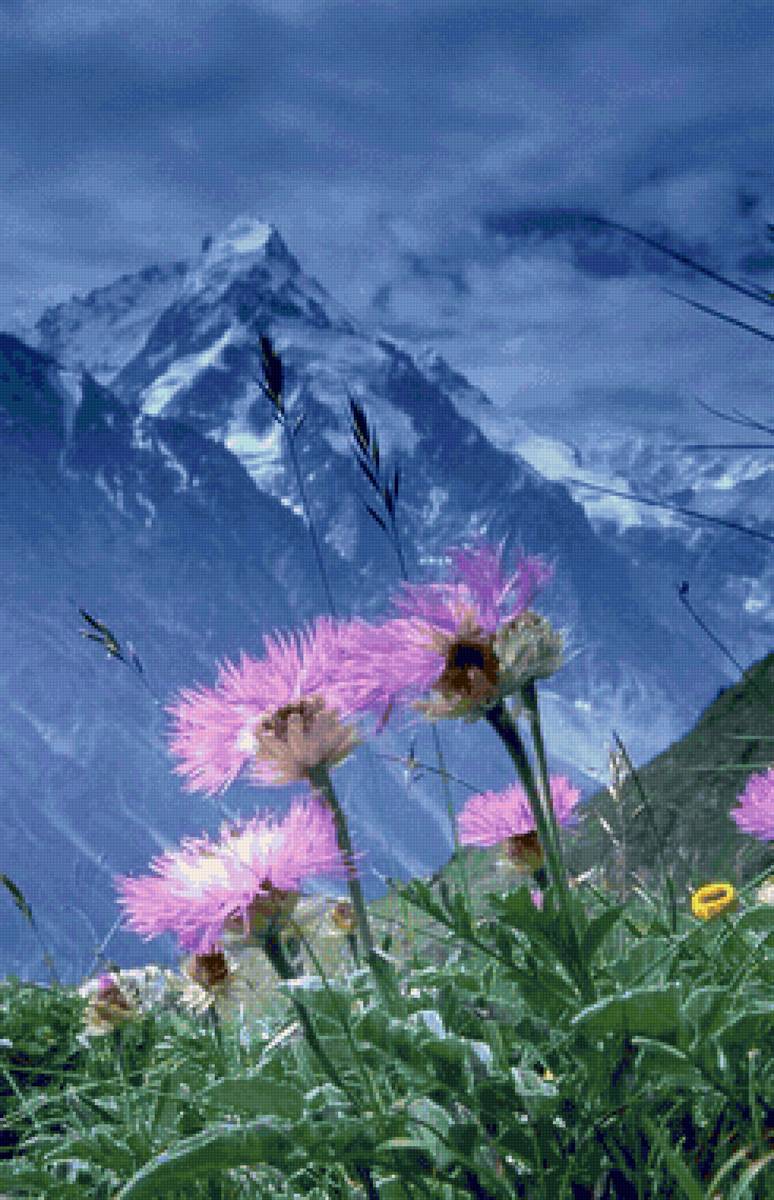 Paisagens de montanhas. - flores.montanhas. - предпросмотр