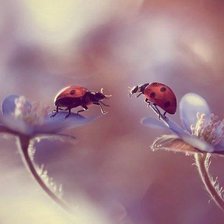 Схема вышивки «Природа»