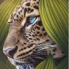 Схема вышивки «№2206759»