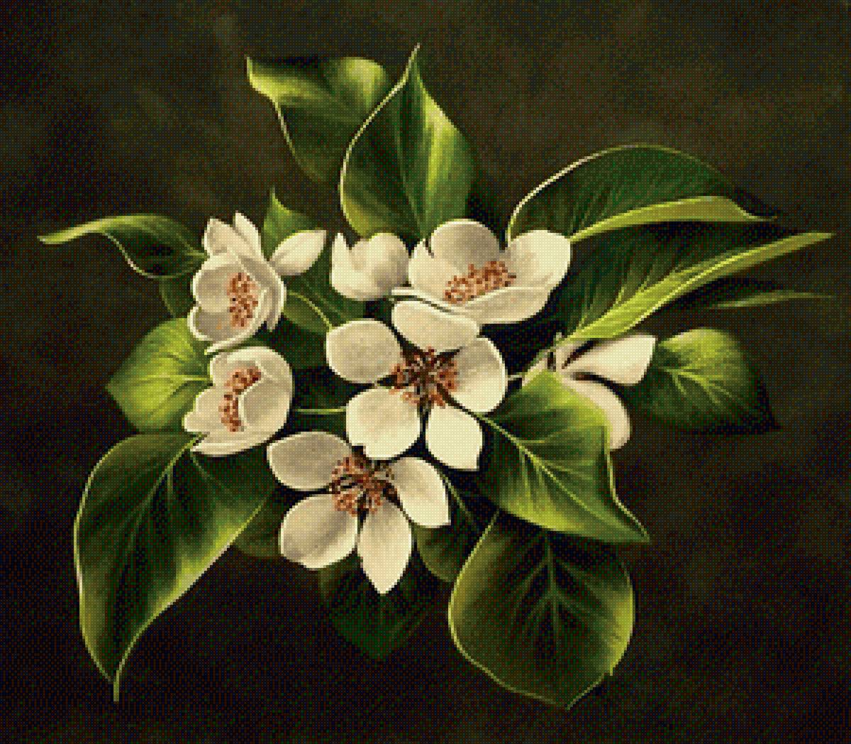 Цветение - весна, цветение, яблоня - предпросмотр