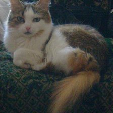 Схема вышивки «Алисонька»