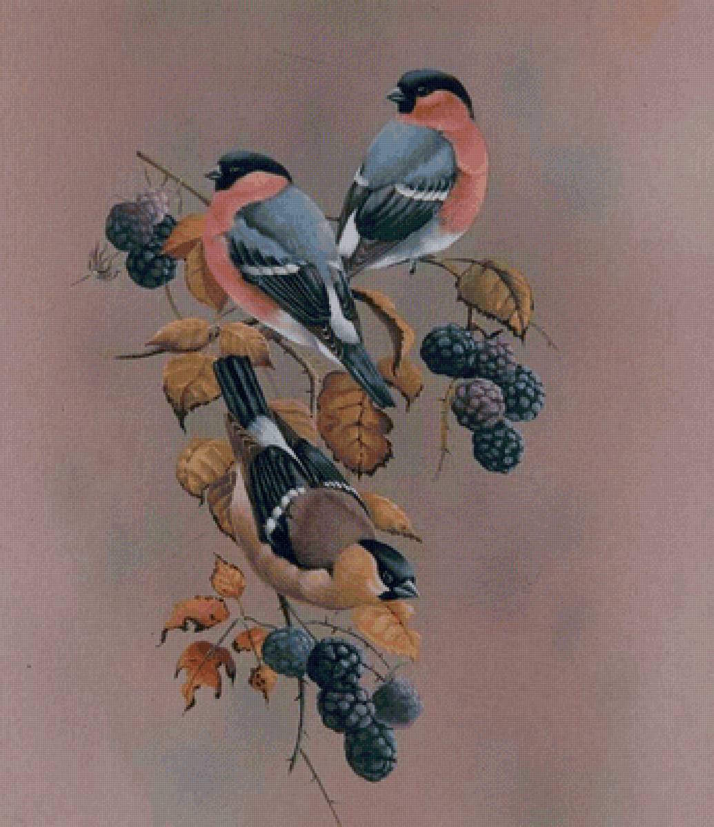 Снегири на лиловом - еживика, птицы, природа, растение, ягода, снегири - предпросмотр