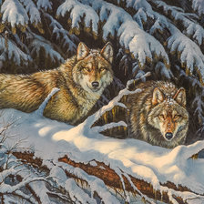 Оригинал схемы вышивки «Wolves in Winter.» (№2207371)