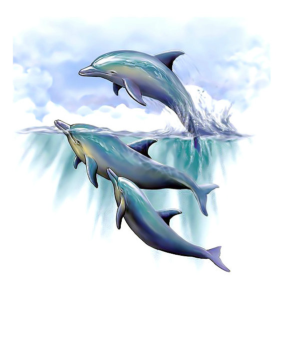 дельфины - дельфин, животные., рисунок - оригинал