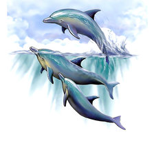 Схема вышивки «дельфины»